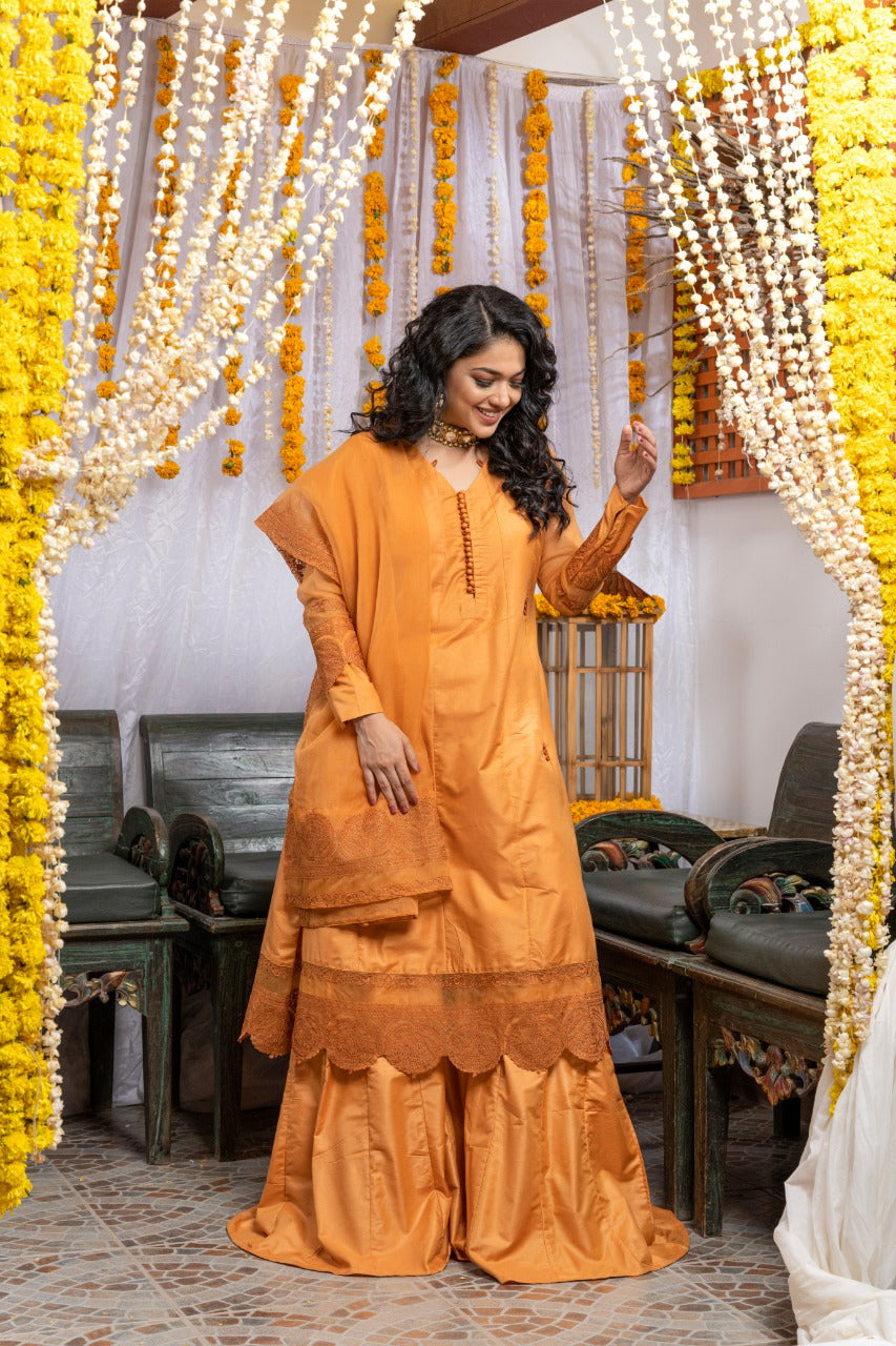 EMB 159 - ORANGE BANARSI