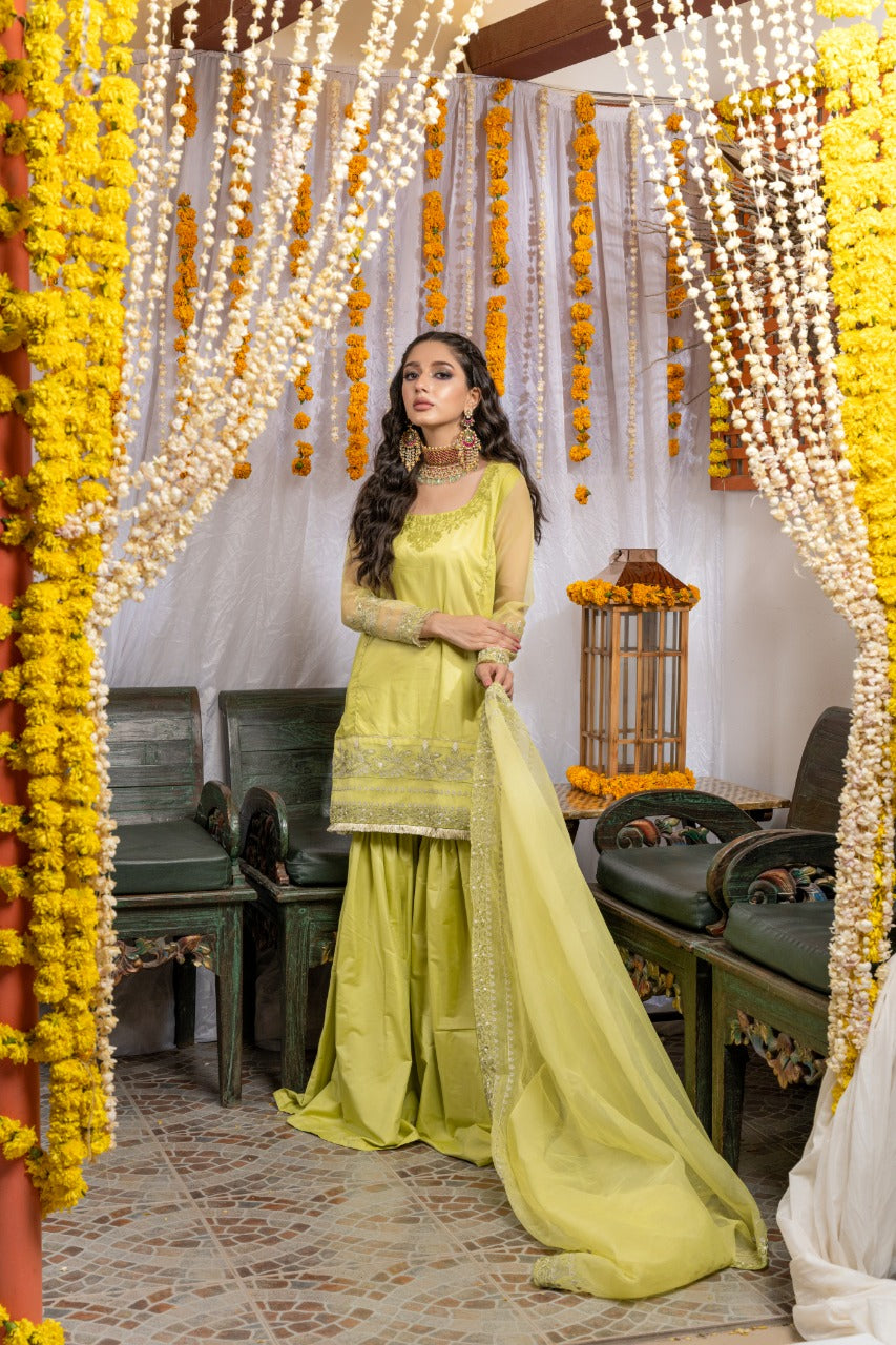 EMB 160 - GREEN BANARSI
