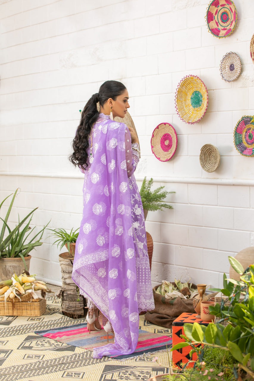 PURPLE KALIDAR - EMB 169