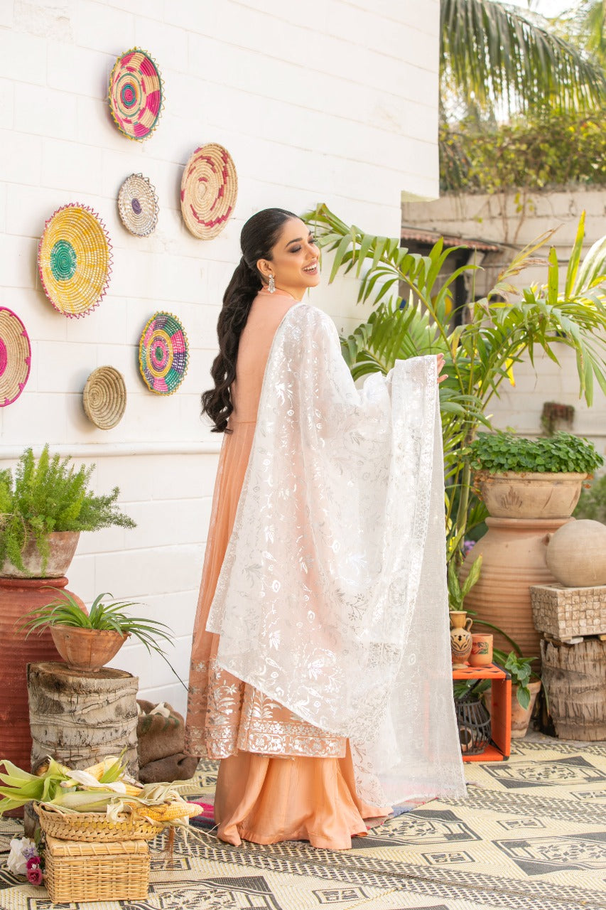 PEACH PESHWAS - EMB 171